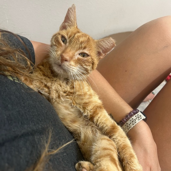 Meet your Posher, Linette - Picture 5 of 8